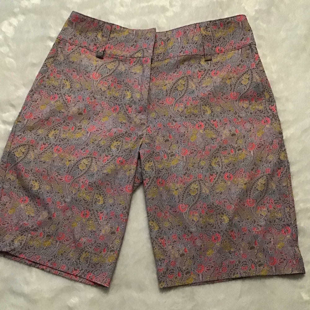 Women’s Nike Golf Dri Fit Golf Sport Shorts. Size 2